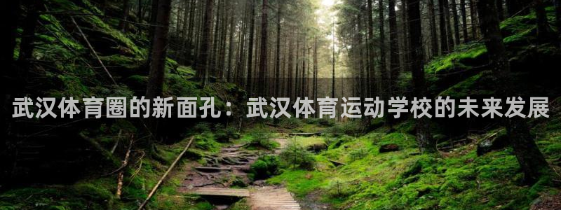 利记官方正版app代理：武汉体育圈的新面孔：武汉体育