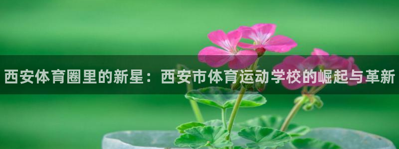 利记官网下载：西安体育圈里的新星：西安市体育运动学校