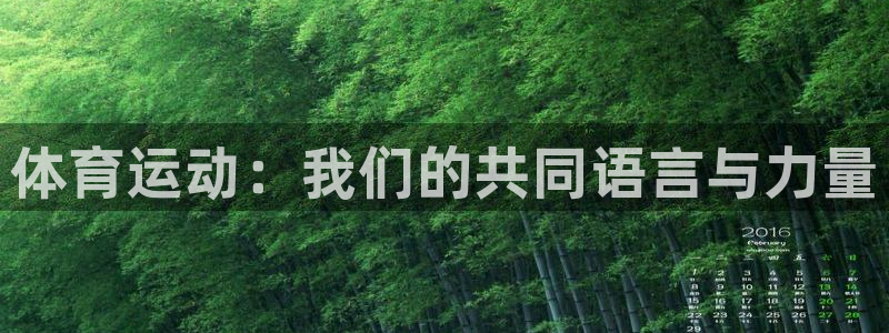 海南利记官网下载发展怎么样：体育运动：我们的共同语言