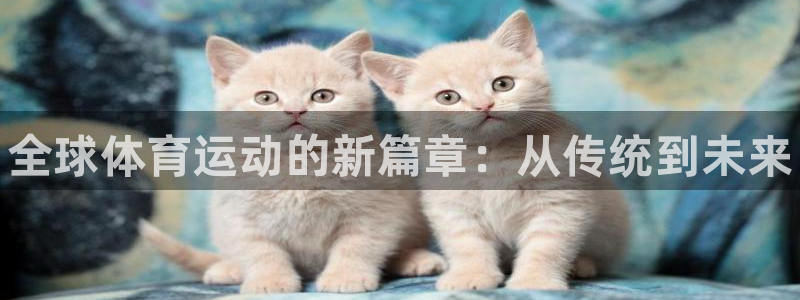 利记官网下载是干嘛的公司：全球体育运动的新篇章：从传