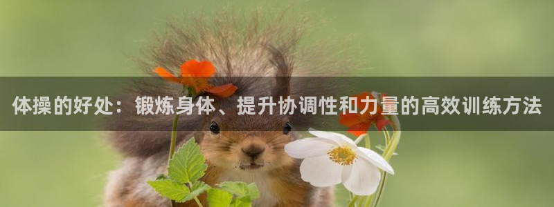 利记官方正版app娱乐代理怎么样：体操的好处：锻炼身