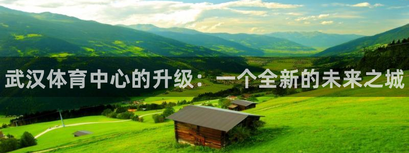 利记官方正版app官网：武汉体育中心的升级：一个全新