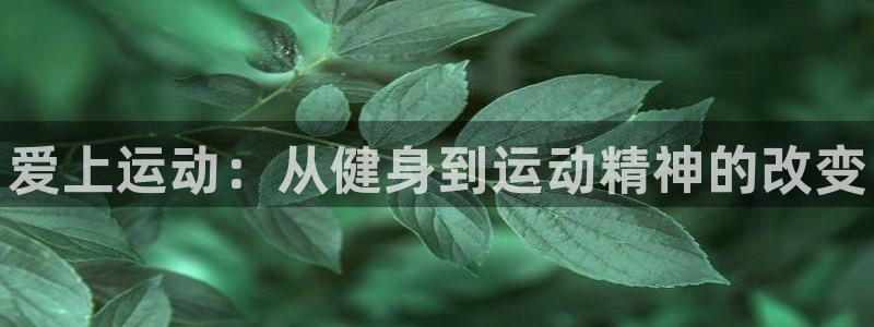 利记官方正版app官方：爱上运动：从健身到运动精神的
