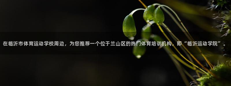 利记官网下载娱乐：在临沂市体育运动学校周边，为您推荐一个位于