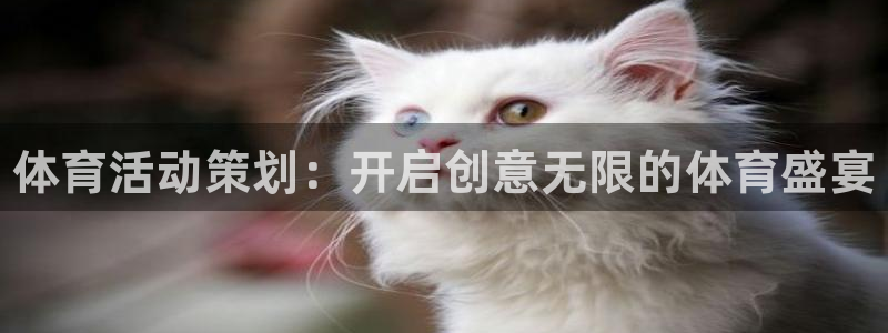 利记官网下载平台注册流程视频：体育活动策划：开启创意