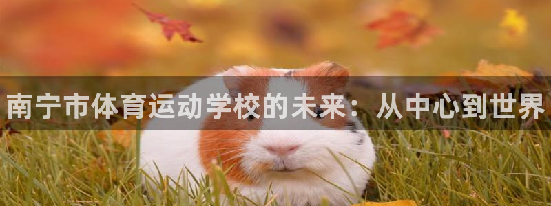 利记官网下载平台注册流程图：南宁市体育运动学校的未来：从中心