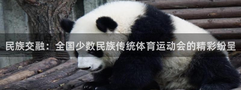 利记官网下载娱乐：民族交融：全国少数民族传统体育运动会的精彩