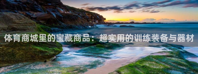 利记官方正版app娱乐：体育商城里的宝藏商品：超实用的训练装