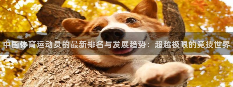 利记官网下载招商电话地址查询