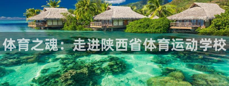 利记官方正版app开户：体育之魂：走进陕西省体育运动