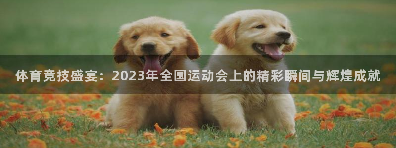 利记官方正版app集团E.ON：体育竞技盛宴：2023年全国