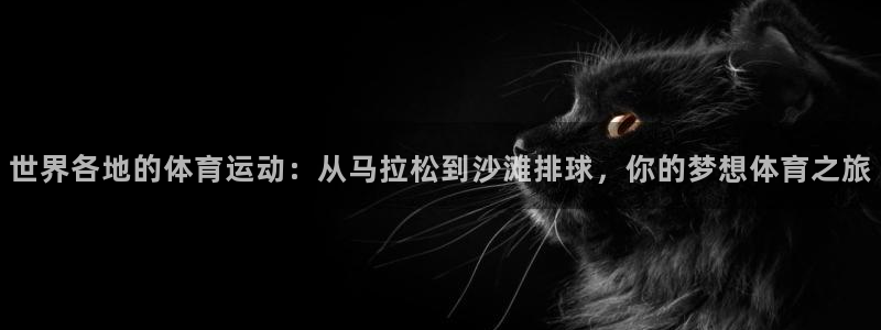 利记官方正版app娱乐代理怎么样：世界各地的体育运动