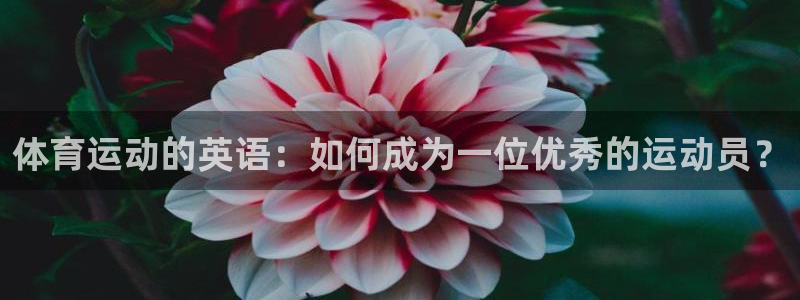 利记官方正版app开户：体育运动的英语：如何成为一位优秀的运