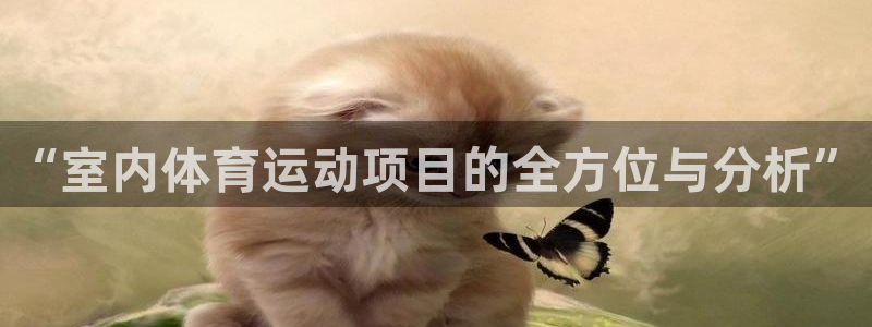 利记官方正版app娱乐首页网站大全：“室内体育运动项