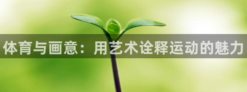 利记官网下载招商电话是多少号码