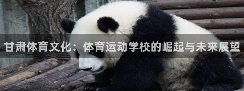 利记官网下载平台是正规平台吗知乎：甘肃体育文化：体育