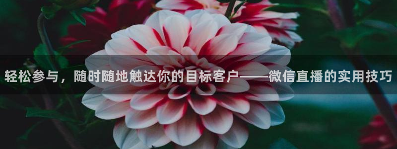nba直播在线观看雨燕直播