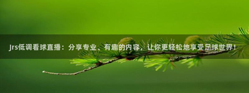 雨燕体育直播高清