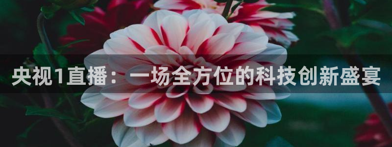 nba雨燕直播体育